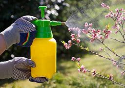 Blog 4 pesticides