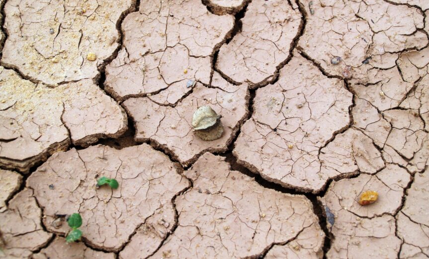Soil in Haiti